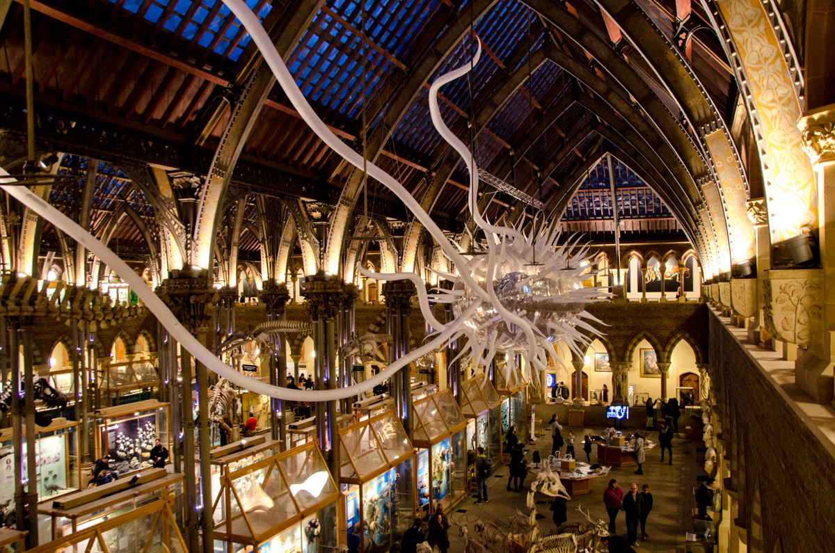 oxford-university-museum-of-natural-history