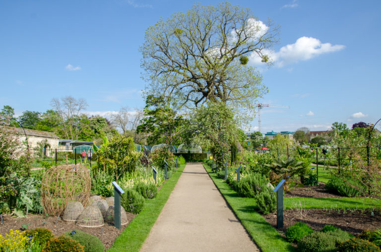botanic-garden
