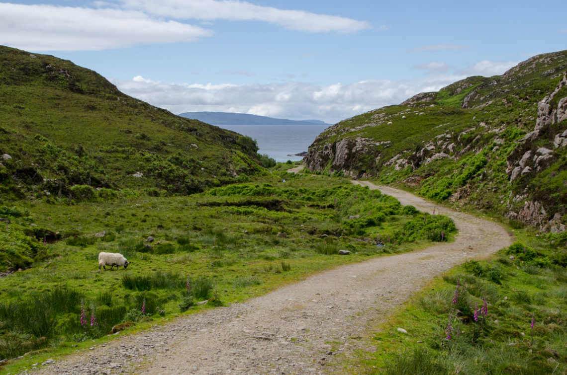 point-of-sleat