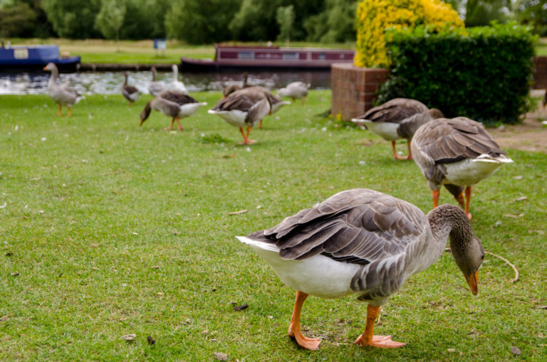 Abingdon-on-Thames