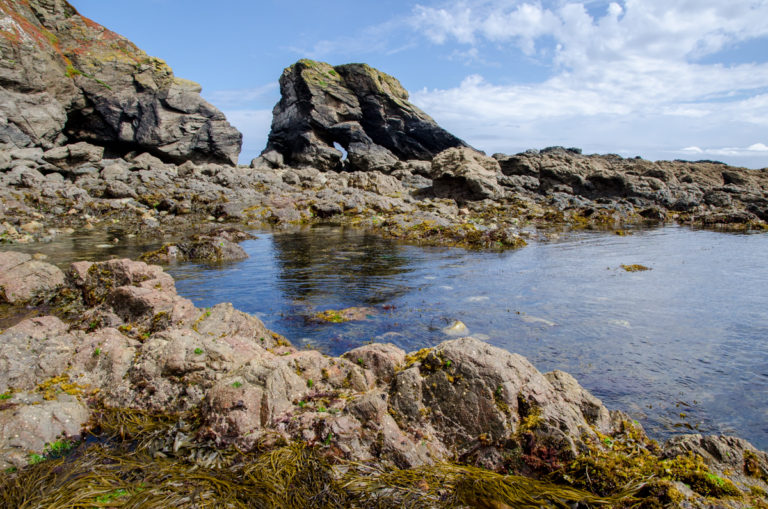 Lizard Point