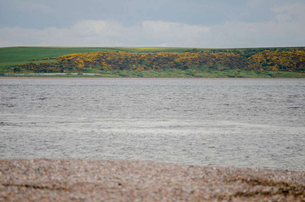 Chanonry Point